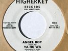 hear: YA HO WA psych 45 on Higherkey - Angel Boy - Source Family 13 Wah weird