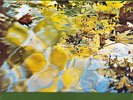 BRUNO NICOLAI - MAD PSYCH GIALLO JAZZ & EXQUISITE ALESSANDRONI LOUNGE Library