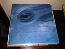 THE DIVINE COMEDY - TIMEWATCH 12