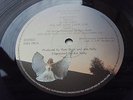 KATE BUSH  NEVER FOREVER 1st UK Press LP TIME CAPSULE LAMINATE SLEEVE COPY