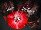 Lifelover 