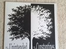 The Constantines Play Young / Unintended Play Lightfoot Vinyl LP Eric's Trip