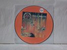 SLAYER - HELL AWAITS 1985 LTD PICTURE DISC #1133