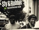 SLY & ROBBIE - BLACKWOOD DUB (PICTURE DISC)  VINYL LP NEUF