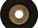 SURF GUITAR INSTRUMENTAL ROCKER- RUNABOUTS- 