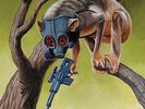 CIRCA SURVIVE/SUNNY DAY REAL ESTATE SPLIT 7