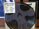 System Of A Down - Steal This Album - LP PICTURE DISC RARE OOP