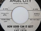 Jay Lyle, How Good Can It Get / Rare Northern Soul 45, Promotional Copy, AC001