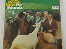 Rare 1966 THE BEACH BOYS 