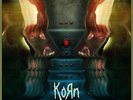 KORN THE PARADIGM SHIFT PICTURE DISC 12