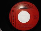 RARE OHIO GARAGE 45/ THE MIKE MANN OUTFIT 