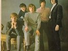THEM/ VAN MORRISON Angry Young Them 1965 mono or. lp beat/garage