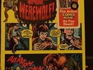THE CURSE OF THE WEREWOLF BOOK AND RECORD SET