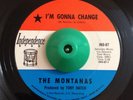 Northern Soul 45 The Montanas I'm Gonna Change on Independence VG++ HEAR
