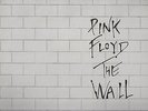Pink Floyd The Wall 2 Blue Vinyl lp No Gatefold Insert Brazil 1979