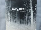 The Cure A forest 7