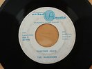 THE SHADDOWS Together Again/Stormy Weather 45 RARE NORTHERN Sweet Soul HEAR