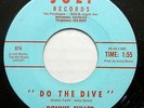 RONNIE FULLER 45 Do the Dive Rare Surf Garage  #SP 51
