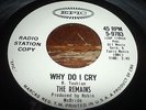 THE REMAINS - 