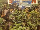 Savoy Brown(Vinyl LP 1st Issue)A Step Further-Decca-SKL 5013-UK-Ex/Ex+