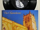 The Chameleons - A Person Isn't Safe Anywhere These Days 7