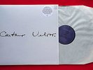 CAETANO VELOSO '69 180 gram VINYL LP Folk Psych Tropicalia gal costa os mutantes