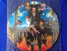 STEVE VAI - PASSION AND WARFARE VINYL (PICTURE DISC)