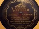 NEW ORLEANS BLACK BIRDS 
