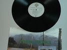 Music from TWIN PEAKS - David Lynch & Angelo Badalamenti [Soundtrack] (Vinyl)