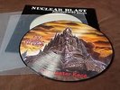 In Flames The jester race Picture LP