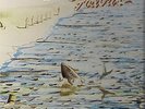 Genesis Foxtrot Classic Records 200 Gram audiophile LP