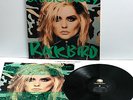 ORIGINAL ANDY WARHOL ART COVER GREEN VARIANT DEBBIE HARRY VINYL RECORD EX RARE