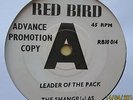 The Shangri-Las   Leader Of The Pack   PROMO