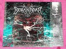 BORKNAGAR - EMPIRICISM - 10tr LP - GER 2001 - 1st PRESSING