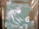 THE PIXIES DOOLITTLE NEW MFSL LTD180gm LP VINYL RARE OOP SEALED frank blac