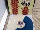 The Story So Far- Under Soil And Dirt LP The Wonder Years New Found Glory