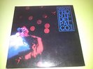 33 giri lp- Vasco Rossi .Fronte del palco