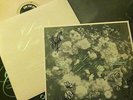 Dum Dum Girls - Only In Dreams - Fully Signed + Poster Vinyl Pink Loser Edition