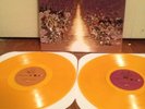Say Anything - In Defense Of The Genre Gold Vinyl /550 Saves The Day Max Bemis