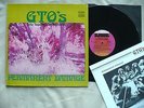 THE GTO'S- PERMANENT DAMAGE RARE 1969 FRANK ZAPPA PSYCHEDELIC PSYCH MINTY w/BOOK