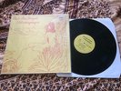 Ash Ra Tempel ?– Schwingungen LP Spalax Reissue Krautrock Can Neu OOP in shrink