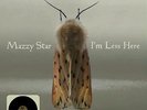 MAZZY STAR I'm Less Here 7