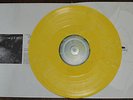LA DISPUTE Wildlife Vinyl