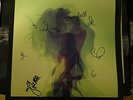 Record Store Day: Signed Warpaint by Warpaint (Vinyl, Jan-2014, 2 Discs)