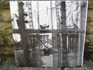 PAUL MCCARTNEY  -  CHAOS AND CREATION IN THE BACKYARD + DRAWINGS  -    LP