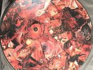 CARCASS symphonies.. SIGNED RARE PicLP napalm death terrorizer nasum earache