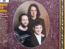Built To Spill-Ultimate Alternative Wavers Record Store Day 2014 #1409