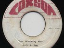 YOU'RE WONDERING NOW Andy & Joey/ SURPLUS Don Drummond (Heavyweight Ska Instr) ?