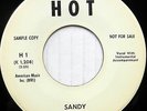 LARRY HALL 45 Sandy / Lovin' Tree HOT Teen ROCKABILLY Near Mint WL Promo #CC238