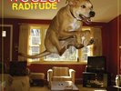 Weezer Raditude New Vinyl LP
